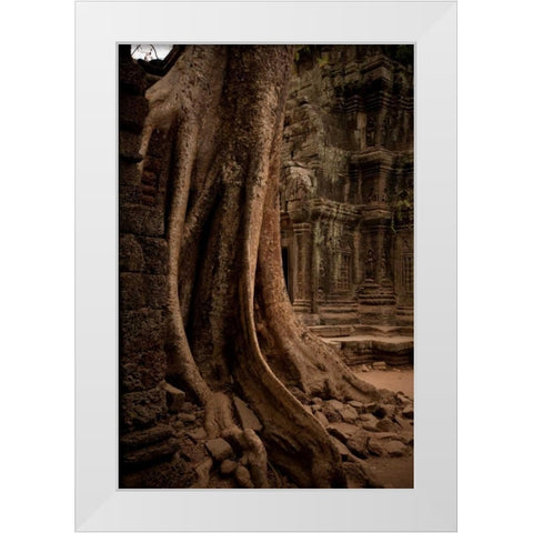 Roots and Ruins I White Modern Wood Framed Art Print by Berzel, Erin