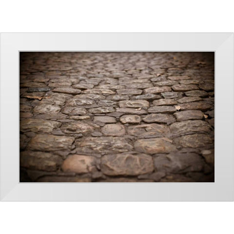 Stone Path I White Modern Wood Framed Art Print by Berzel, Erin