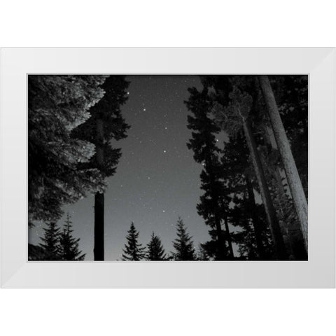 BW Starry Night I White Modern Wood Framed Art Print by Berzel, Erin