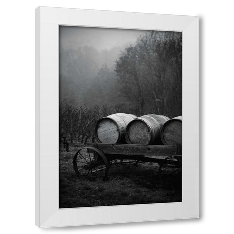BW Oregon Wine Country II White Modern Wood Framed Art Print by Berzel, Erin