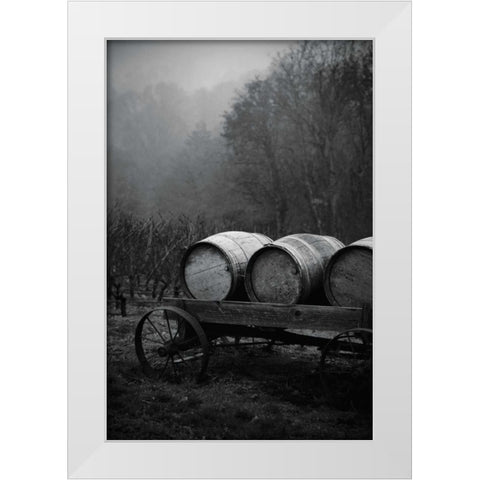BW Oregon Wine Country II White Modern Wood Framed Art Print by Berzel, Erin