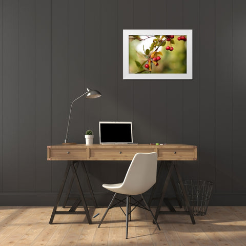 Red Berries I White Modern Wood Framed Art Print by Berzel, Erin