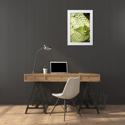 Green and White I White Modern Wood Framed Art Print by Berzel, Erin