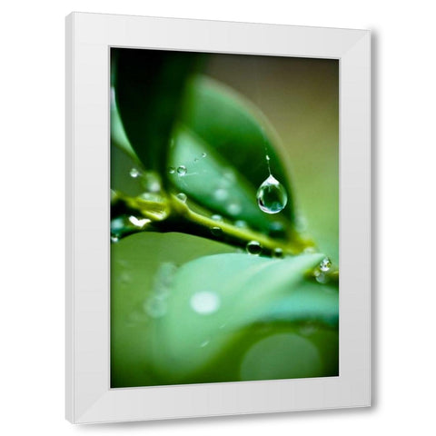 Suspended Dew I White Modern Wood Framed Art Print by Berzel, Erin