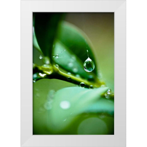 Suspended Dew I White Modern Wood Framed Art Print by Berzel, Erin