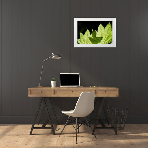 Illuminated Leaves White Modern Wood Framed Art Print by Berzel, Erin