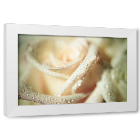 White Rose White Modern Wood Framed Art Print by Berzel, Erin