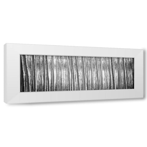 Pacific Albus BW I White Modern Wood Framed Art Print by Berzel, Erin
