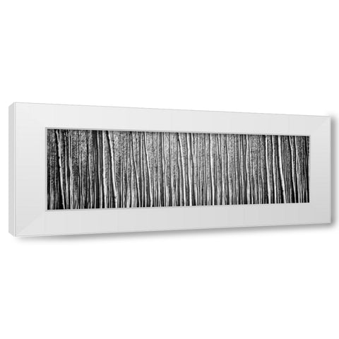 Pacific Albus BW II White Modern Wood Framed Art Print by Berzel, Erin