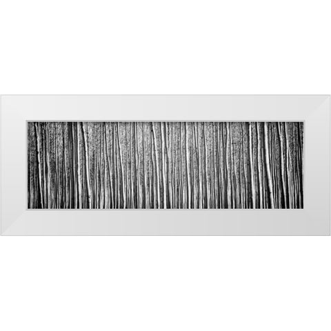 Pacific Albus BW II White Modern Wood Framed Art Print by Berzel, Erin