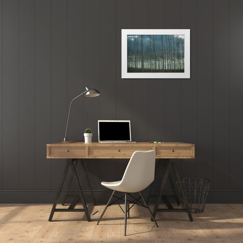 Pacific Albus and Clouds I White Modern Wood Framed Art Print by Berzel, Erin