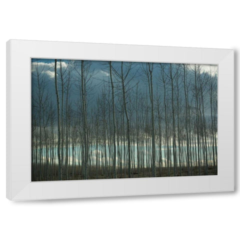 Pacific Albus and Clouds I White Modern Wood Framed Art Print by Berzel, Erin