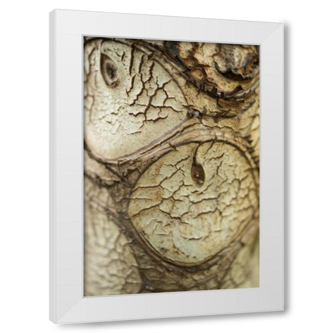 Bark Detail White Modern Wood Framed Art Print by Berzel, Erin