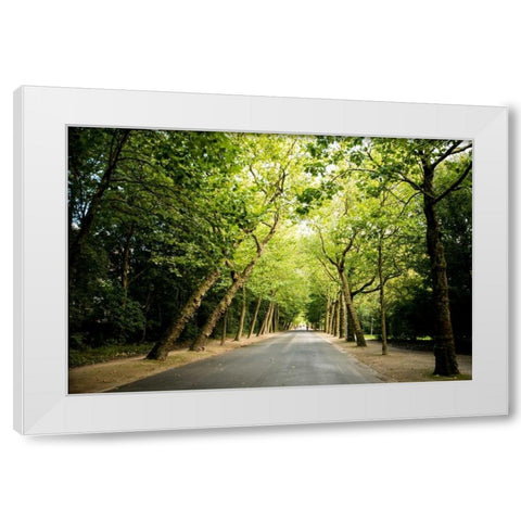 Amsterdam Vondelpark I White Modern Wood Framed Art Print by Berzel, Erin