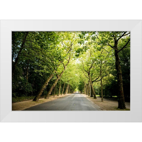 Amsterdam Vondelpark I White Modern Wood Framed Art Print by Berzel, Erin