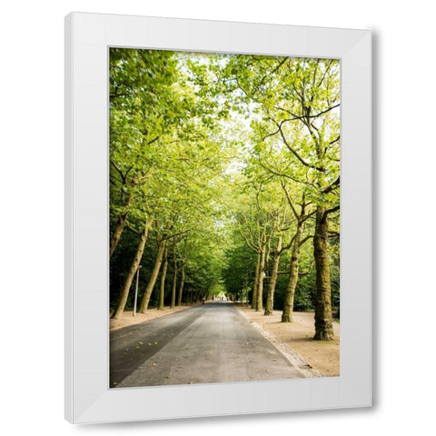 Amsterdam Vondelpark II White Modern Wood Framed Art Print by Berzel, Erin