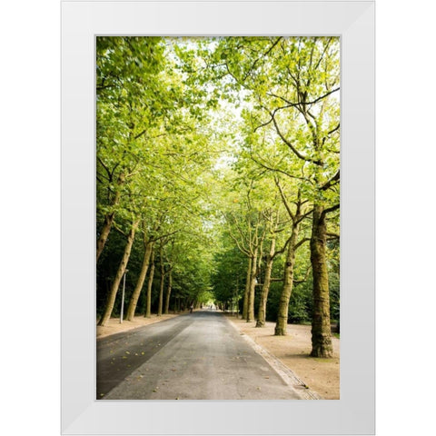 Amsterdam Vondelpark II White Modern Wood Framed Art Print by Berzel, Erin