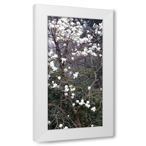 Giardino dei Semplici I White Modern Wood Framed Art Print by Crane, Rita