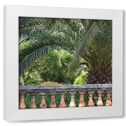 Palace Garden Palms I White Modern Wood Framed Art Print by Crane, Rita