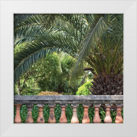 Palace Garden Palms I White Modern Wood Framed Art Print by Crane, Rita