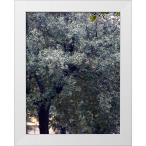 Bambino I White Modern Wood Framed Art Print by Crane, Rita