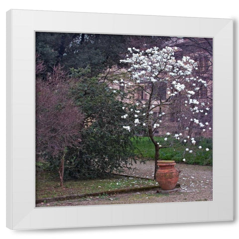 Garden Glimpse I White Modern Wood Framed Art Print by Crane, Rita