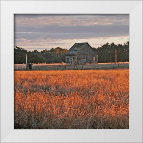 Golden Fields II White Modern Wood Framed Art Print by Crane, Rita