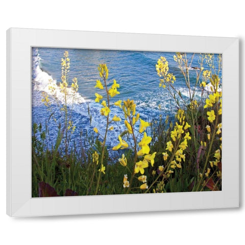 Wild Mustard White Modern Wood Framed Art Print by Crane, Rita