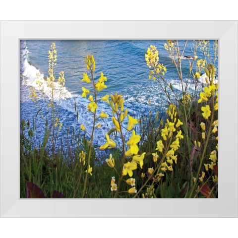 Wild Mustard White Modern Wood Framed Art Print by Crane, Rita