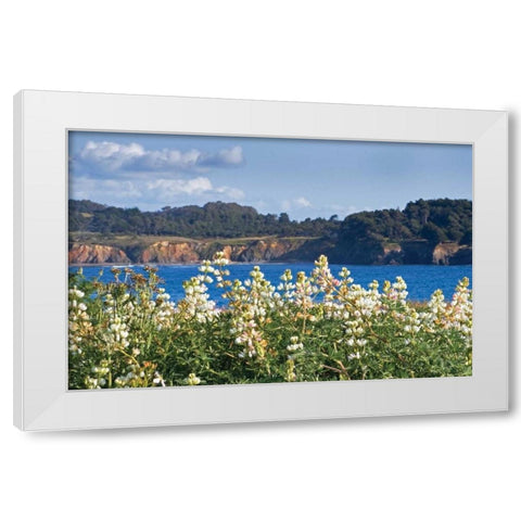Wild Lupine White Modern Wood Framed Art Print by Crane, Rita
