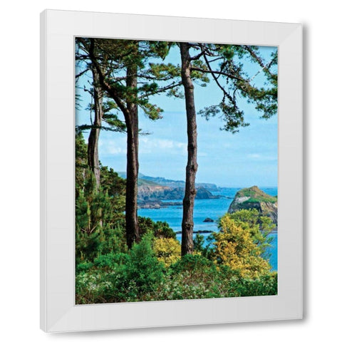 Sunny Afternoon White Modern Wood Framed Art Print by Crane, Rita