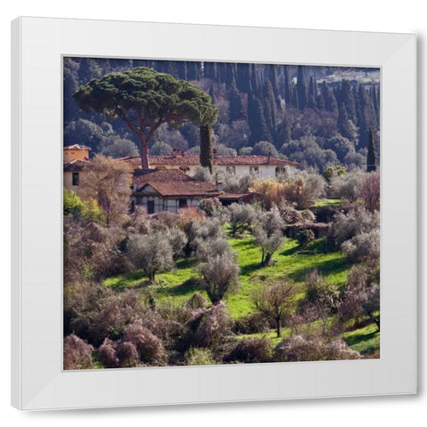 Afternoon in Tuscany White Modern Wood Framed Art Print by Crane, Rita