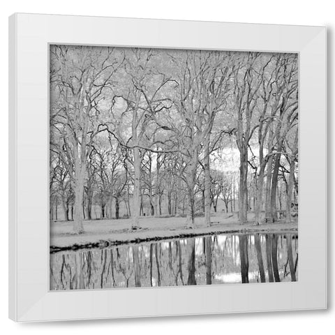 Along the Canal White Modern Wood Framed Art Print by Crane, Rita