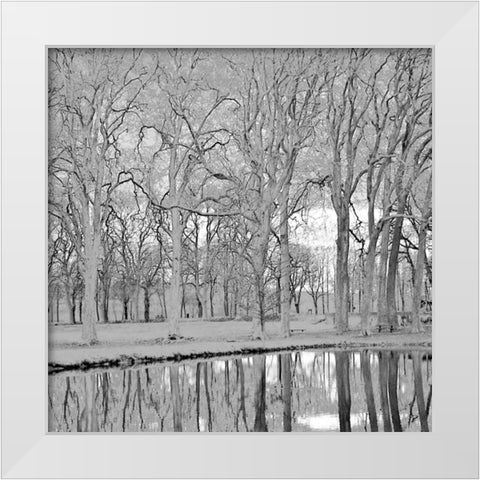 Along the Canal White Modern Wood Framed Art Print by Crane, Rita