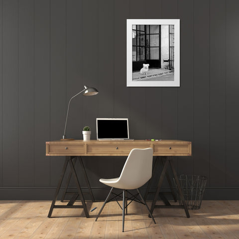 Little Dog V White Modern Wood Framed Art Print by Crane, Rita