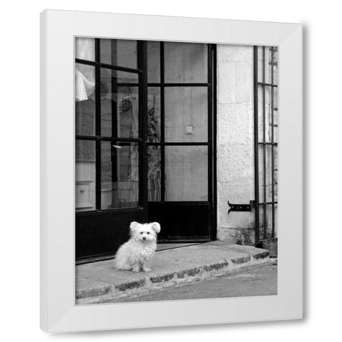 Little Dog V White Modern Wood Framed Art Print by Crane, Rita