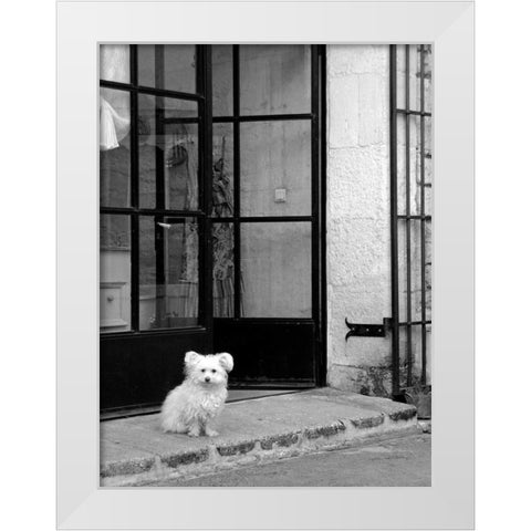 Little Dog V White Modern Wood Framed Art Print by Crane, Rita