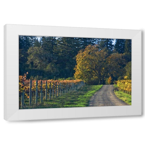 After the Harvest I White Modern Wood Framed Art Print by Crane, Rita