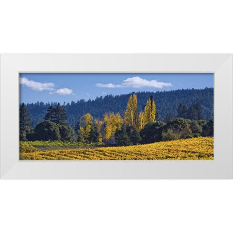 Autumn Gold I White Modern Wood Framed Art Print by Crane, Rita