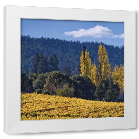 Autumn Gold II White Modern Wood Framed Art Print by Crane, Rita