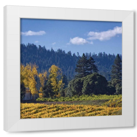 Autumn Gold III White Modern Wood Framed Art Print by Crane, Rita