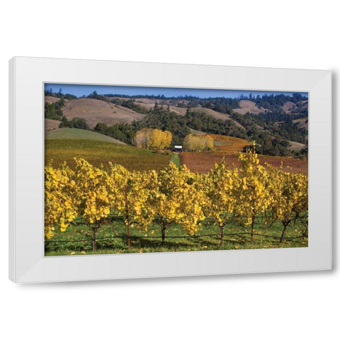 Barns and Vineyards I White Modern Wood Framed Art Print by Crane, Rita