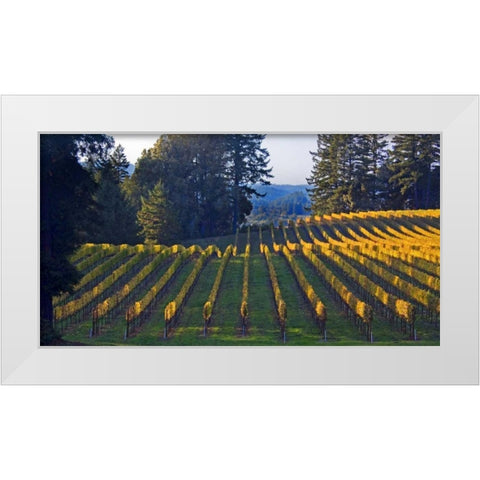 Golden Rows III White Modern Wood Framed Art Print by Crane, Rita