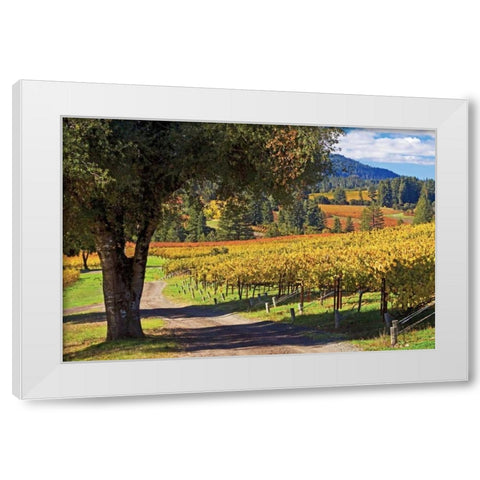 Oak and Vine I White Modern Wood Framed Art Print by Crane, Rita