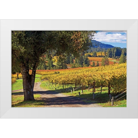 Oak and Vine I White Modern Wood Framed Art Print by Crane, Rita