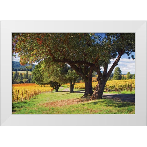 Oak and Vine II White Modern Wood Framed Art Print by Crane, Rita