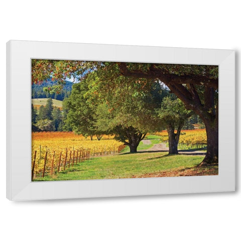 Oak and Vine III White Modern Wood Framed Art Print by Crane, Rita