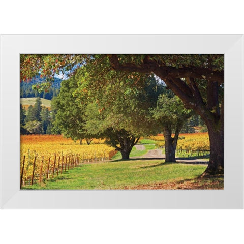 Oak and Vine III White Modern Wood Framed Art Print by Crane, Rita