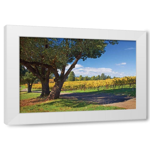 Oak and Vine IV White Modern Wood Framed Art Print by Crane, Rita