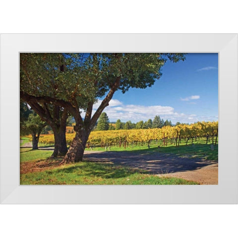 Oak and Vine IV White Modern Wood Framed Art Print by Crane, Rita